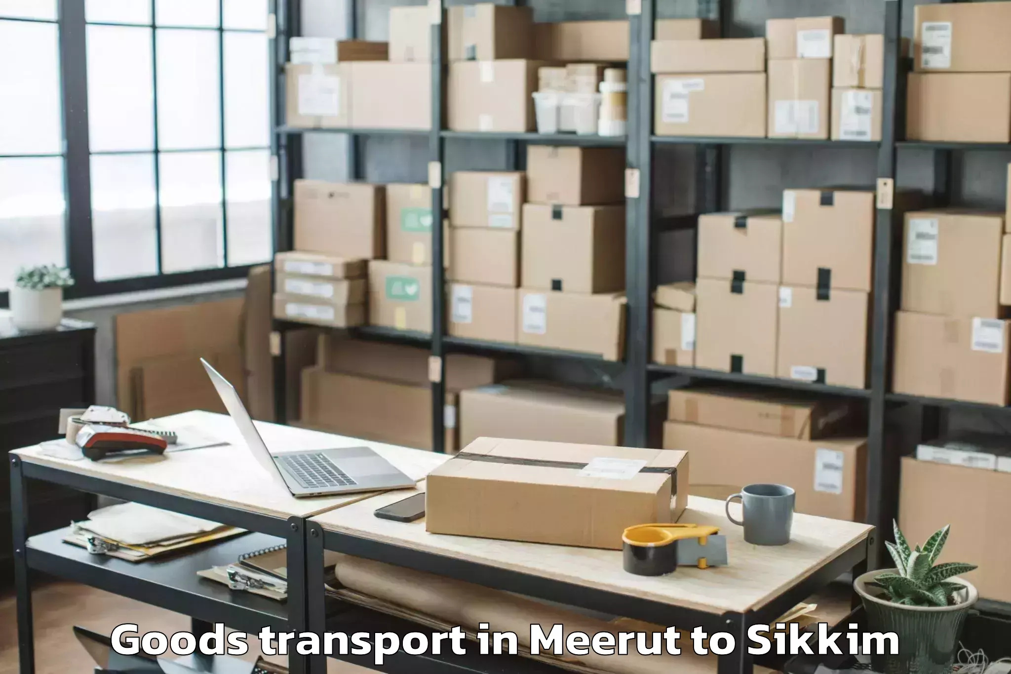 Professional Meerut to Icfai University Sikkim Gangto Goods Transport